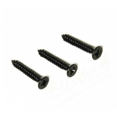 Black Pozi Countersunk screws