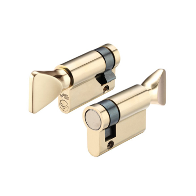 30/10 Single Euro Cylinder with Thumbturn - Polished Brass