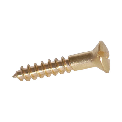 8 x 1'' Raised Head Screws Slotted - Brass