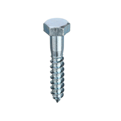 Hex Coach Screw - M12 x 100mm (25)