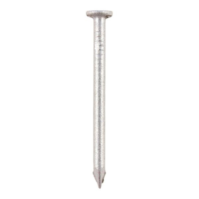 Round Wire Nails 100mm 1kg - Galvanised