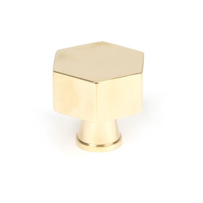 Polished Brass Kahlo Cabinet Knob
