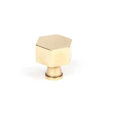Aged Brass Kahlo Cabinet Knob