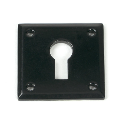 Black Avon Escutcheon