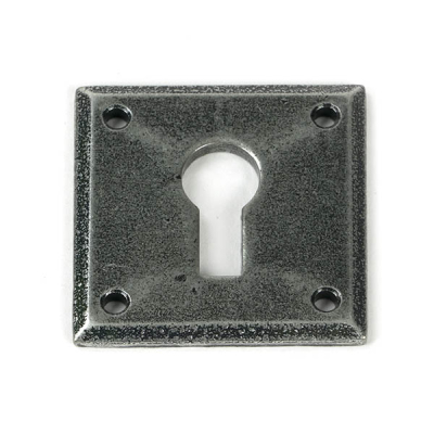 Pewter Patina Avon Escutcheon