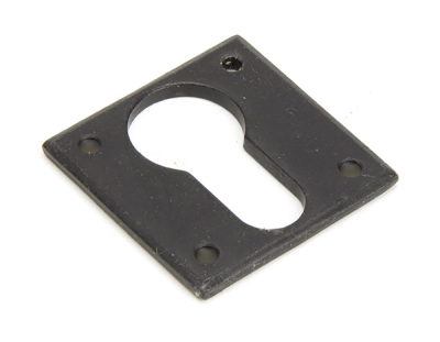 External Beeswax Avon Euro Escutcheon