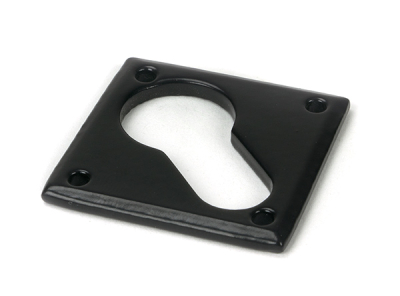 From the Anvil Diamond Euro Escutcheon
