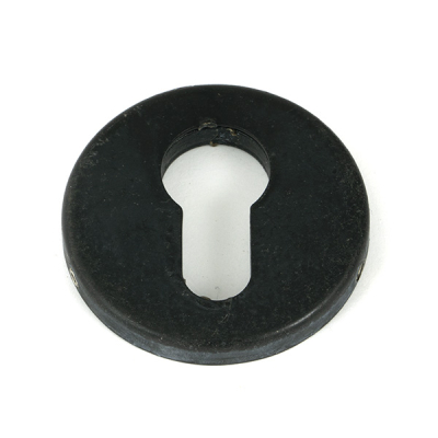 From the Anvil Regency Concealed Escutcheon