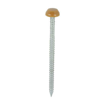 Polymer Head Nails