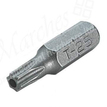 6-lobe/res 1/4" Insert Bit T30