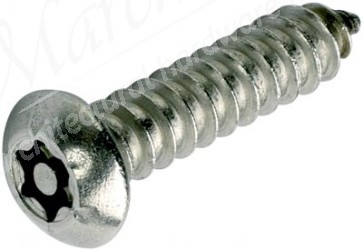 6-lobe/resist Sec Screw But Hd 63x38mm Ss (100)