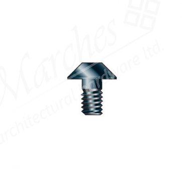 RT/3.5 - Torx screw M3.5 x 5mm 0.6mm 6mm head