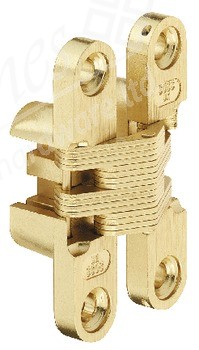 SOSS Zinc Alloy Hinges (pair) - Brass Plated