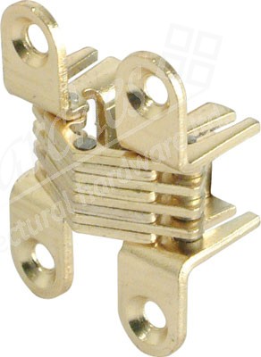 Concealed Hinge 180d Brass Pl