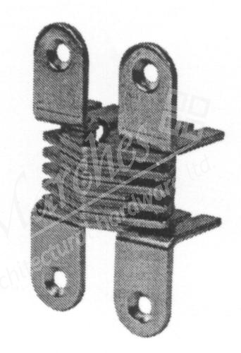 Concealed Hinge 180d Brass Pl