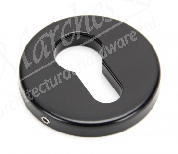 Regency Concealed Fix Escutcheon - Black