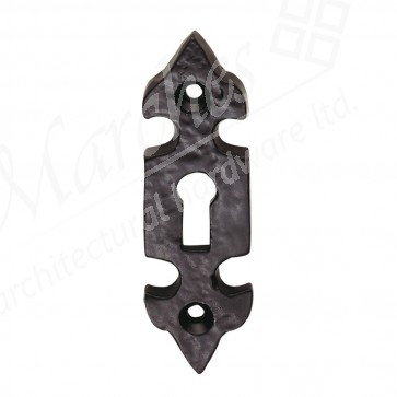 Ludlow - Fleur De Lus Escutcheon - Black