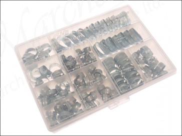 Workshop Pack (143 Assorted Hose Clips)