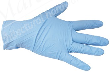 Disposable Gloves Powder Free - Large