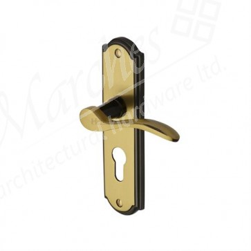 Howard Lever Handle on Backplate - Antique Brass