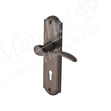Howard Lever Handle on Backplate - Matt Bronze