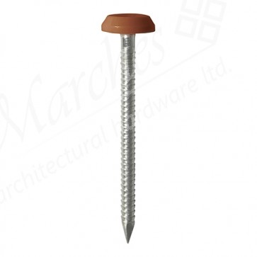 50mm Polymer Head Nails Brown Large Head (100)