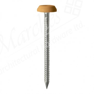 50mm Polymer Head Nails Brown Large Head (100)