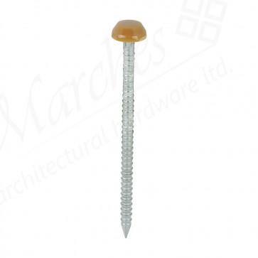 Polymer Head Nails Oak - Various Sizes