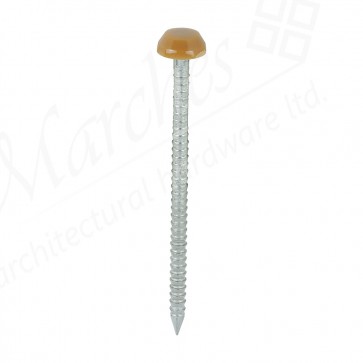 40mm Polymer Head Nails Oak (250)