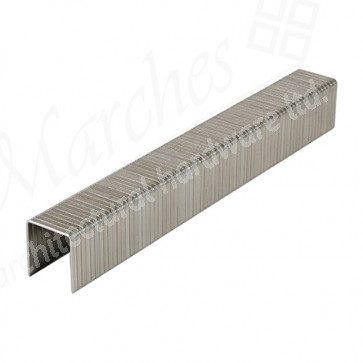 SS - (T50) Staples 12mm (1/2in) (Box of 1000)