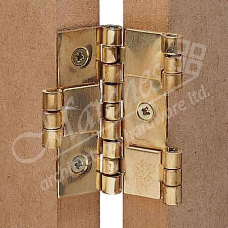Two-way Hinge Brass Pol 60x20 - Cranked hinges - Ironmongery