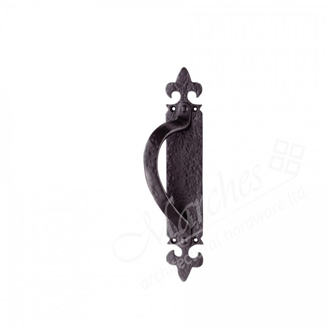 Ludlow Armorial Pull Handle On Backplate LH Black Pull Handles