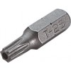 T10 Insert Bit