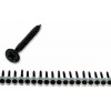 Collated Dry Wall Screw 35mm