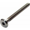 Flat Head Screw Bri Zp M6x40mm