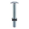 Roofing Bolt/w Nut - M6 x 25 (10)