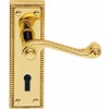 Georgian Lever Lock Handle - Polished Brass