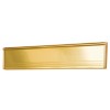 Exitex Internal Letterbox With Flap - Gold