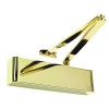TS5204 120min Door Closer - PVD Brass