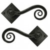 Monkeytail on Diamond Rosette - Black 