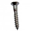 30mm x 4.5mm Replacement Hinge Screws (Pack 16) - SS