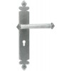 Tudor (Unsprung) Lever Lock - Pewter