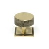 38mm Brompton Cabinet Knob (Square) - Aged Brass