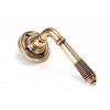 Reeded Lever on Rose Set Unsprung - Polished Bronze