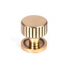 25mm Judd Cabinet Knob (Plain) - Polished Bronze