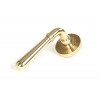 Newbury Lever on Rose Set (Beehive) - Polished Brass