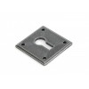 Avon Standard Escutcheon - Pewter 