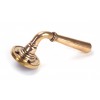 Newbury Lever on Rose - Polished Bronze