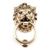 Lion Head Knocker - Polished Bronze