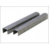 R501910 10mm Staple for Powerslam (5000)